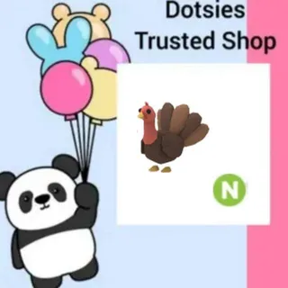Pet | N Turkey