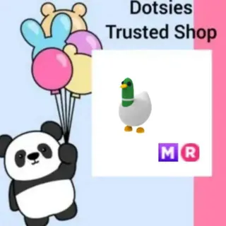 MR Silly Duck