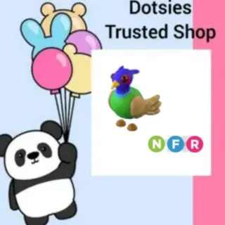 Pet | NFR Green Chested Pheasant