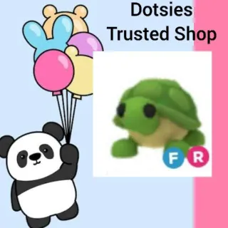 Pet | FR Turtle