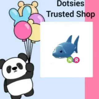 Pet | NR Shark