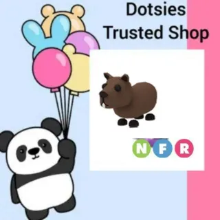 Pet | NFR Capybara