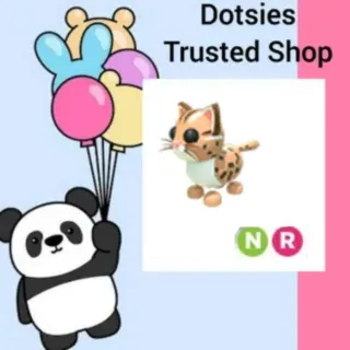 Pet | NR Leopard Cat