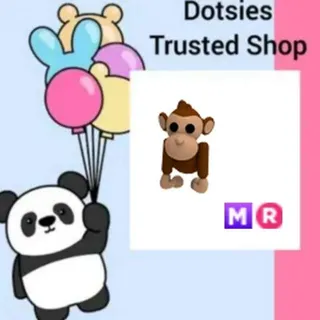 Pet | MR Monkey