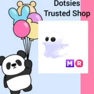 Pet | MR Ghost