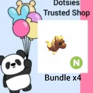 X4 N Shetland Pony Dark