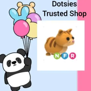 Pet | NFR Ginger Cat