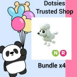 Bundle | X4 NR Poodle