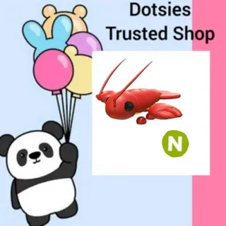 Pet | N Lobster