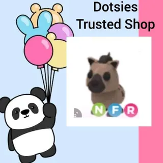 Pet | NFR Hyena