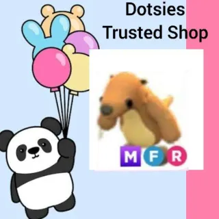 Pet | MFR Ground Sloth