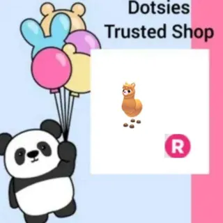 Pet | R Alpaca