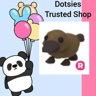 Pet | R Platypus
