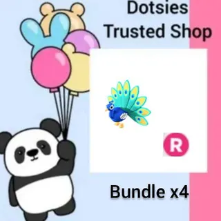 Bundle | X4 R Peacock