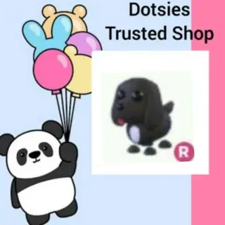 Pet | R Royal Palace Spaniel