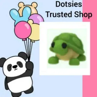 Pet | Turtle No Potion