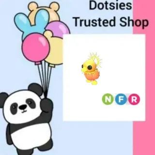 NFR Sunrise Duckling