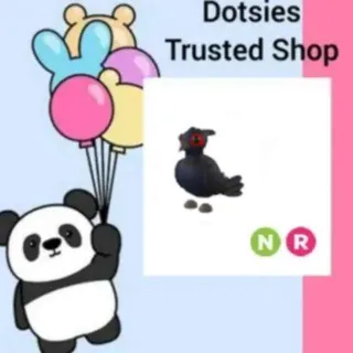 NR Black Chested Pheasan