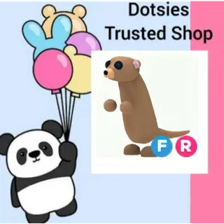 Pet | FR Meerkat