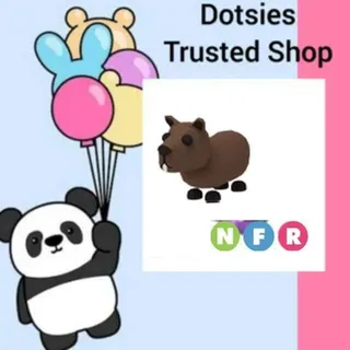 Pet | NFR Capybara