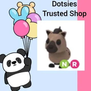 Pet | NR Hyena