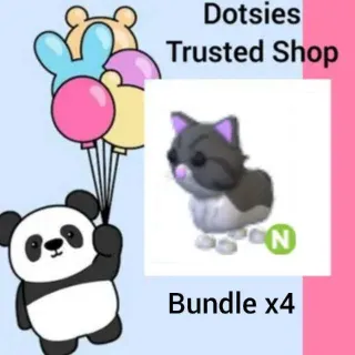 Bundle | X4 N Persian Cat