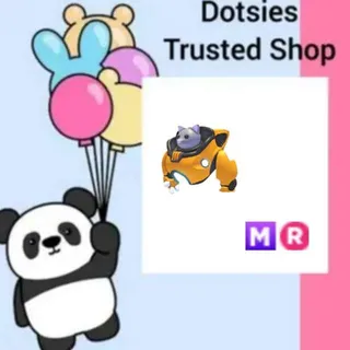 Pet | MR Mecha Meow