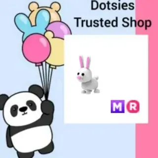MR Bunny