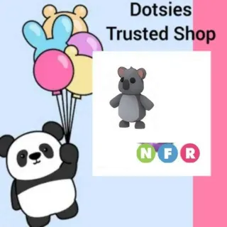 Pet | NFR Koala