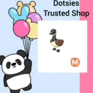 Pet | M Canadian Goose