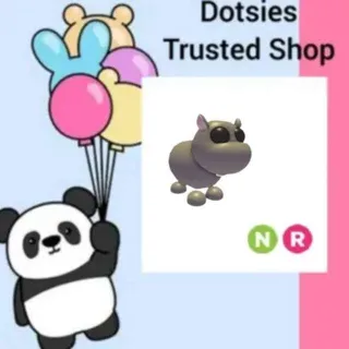 Pet | NR Hippo