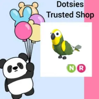 Pet | NR Green Amazon