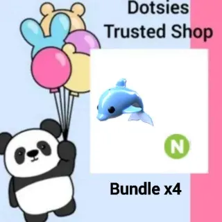 Bundle | X4 N Dolphin