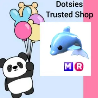 Pet | MR Dolphin