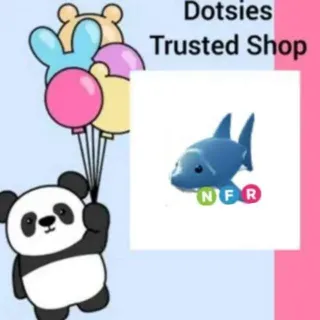 Pet | NFR Shark