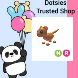 Pet | NR Fossa
