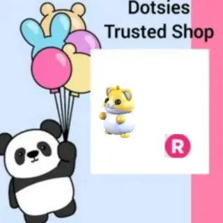 Pet | R Golden Hamster