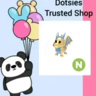 出品写真