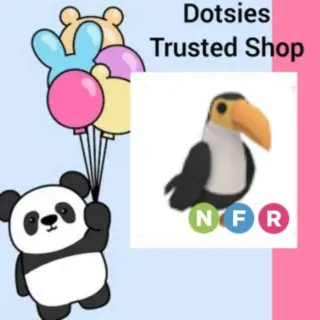 Pet | NFR Toucan