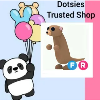 Pet | FR Meerkat
