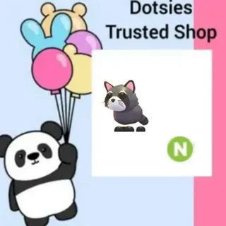 Pet | N Raccoon