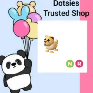 Pet | NR Tan Chow Chow