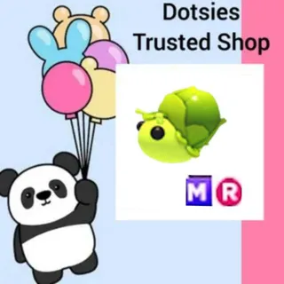 Pet | MR Sprout Snail