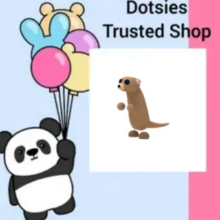 Pet | Meerkat No Potion