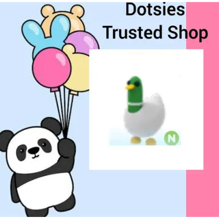 Pet | N Silly Duck