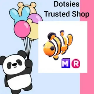 Pet | MR Clownfish