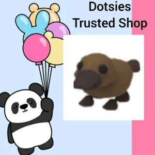 Pet | Platypus