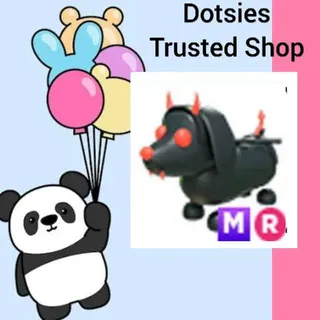 Pet | MR Evil Dachshund