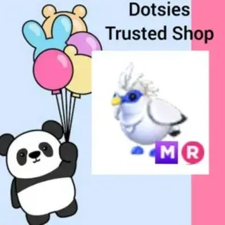 Pet | MR Bali Starling