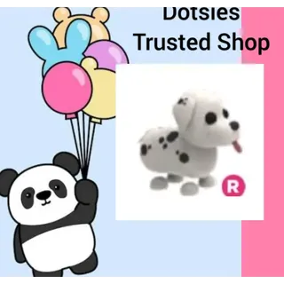 Pet | R Dalmatian
